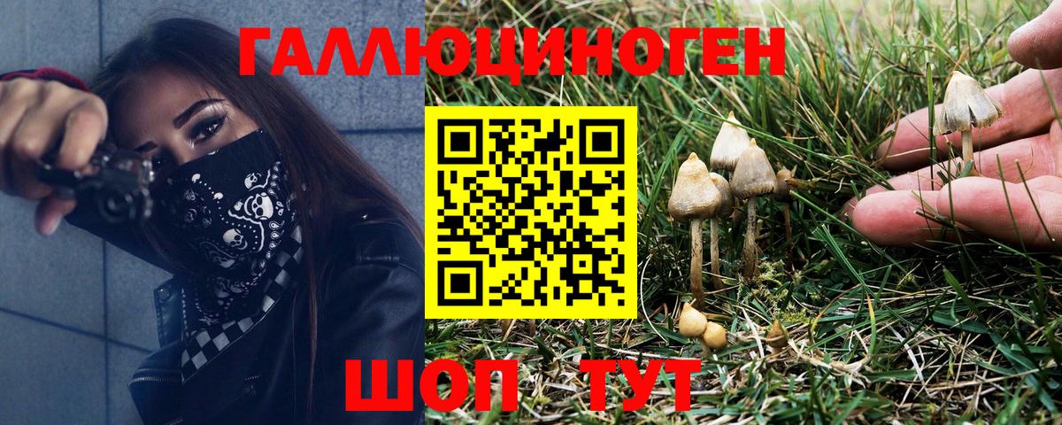 Псилоцибиновые грибы мицелий Курчатов