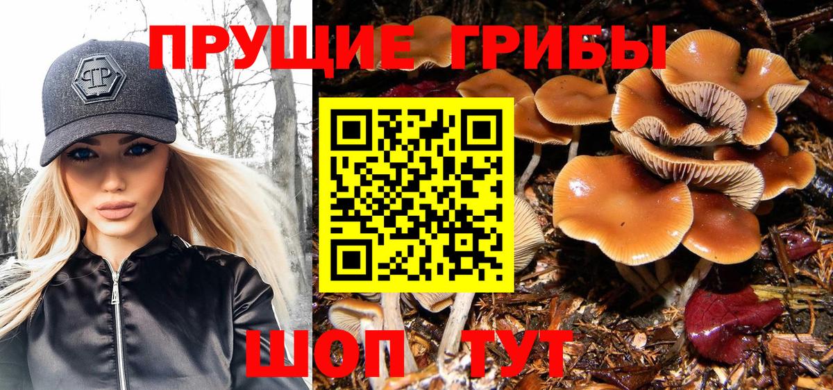 Курчатов  Галлюциногенные грибы ЛСД  Вход с VPN 